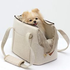 a small dog is sitting in a bag