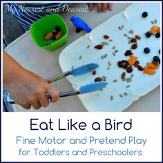 a child cutting up food with scissors on a plate and the words eat like a bird