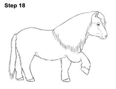 Mini Shetland Pony, Easy Horse Drawing, Maze Drawing, Donkey Drawing, Horse Cartoon