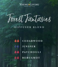 Patchouli Blends, Diy Diffuser Blends, Diy Diffuser, Diffuser Blends Young Living, Savvy Minerals, Ningxia Red, Essential Oils 101