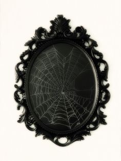 a spider web in the center of a black frame on a white wall with an ornate border around it