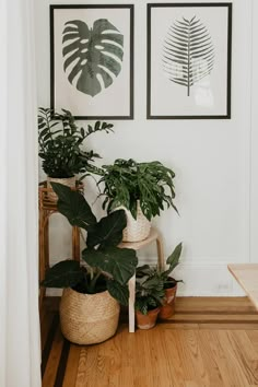 some plants are sitting in baskets on the floor