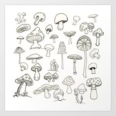 a black and white drawing of various mushrooms