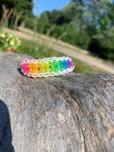 a rainbow bracelet sitting on top of a tree trunk in the sun with trees in the background