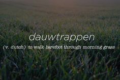 the words dautrappen written in white on top of green grass with sun shining