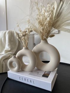 two white vases sitting on top of a book with dried plants in them and the word coq spelled out