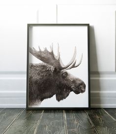 a black and white photo of a moose's head in a frame on the floor