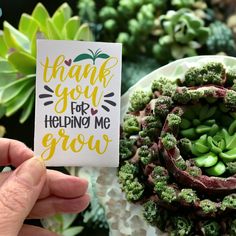 a hand holding up a thank you for helping me grow card next to succulents