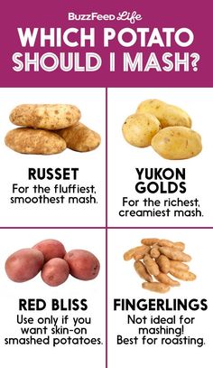 different types of potatoes with the words which potato should i mash?