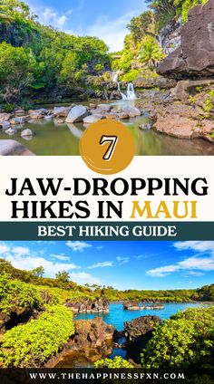 7 Jaw-Dropping Hikes in Maui You Need to See Best Hikes In Maui Hawaii, Best Maui Hikes, Maui Sunrise Haleakala, Maui Things To Do, What To Wear In Maui, Things To Do In Maui Hawaii, Maui Hawaii Things To Do In, Hiking In Maui, Maui Excursions