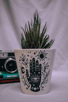 a potted plant sitting next to a camera