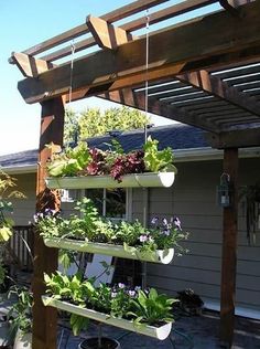 several potted plants are hanging from a pergolated trellis in front of a house