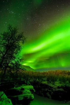 an aurora bore is seen in the sky over a river and trees with snow on it