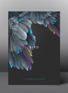 a card with feathers on it and the words bird written in blue, green, yellow and