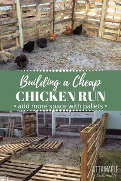 chicken run made out of pallets with chickens in the background and text overlay that reads building a cheap chicken run add more space with pallets