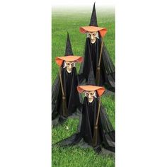 three halloween hats and two skeleton heads on top of each other in black cloths