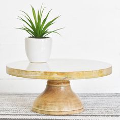 a potted plant sitting on top of a white table