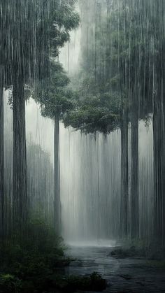 an image of trees in the rain with water running down them and foggy ground