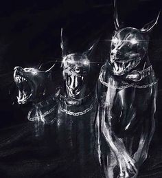 an artistic black and white photo of two dogs with chains on their collars, in the dark