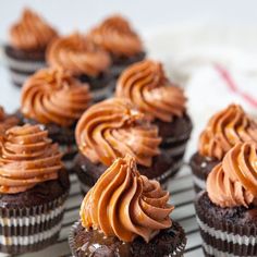 chocolate cupcakes with frosting on a cooling rack