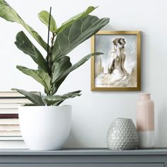 a potted plant sitting on top of a table next to a framed photo and vase