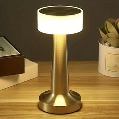 a table lamp sitting on top of a wooden table next to a potted plant