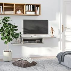 a living room with a couch, television and bookshelves on the wall above it