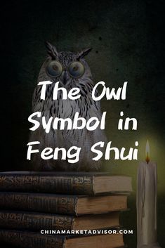 The Owl Symbol in Feng Shui Feng Shui Apartment, Owl Symbol, Feng Shui Interior, Feng Shui Good Luck, Feng Shui Elements