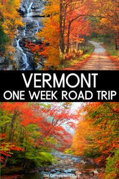 the vermont one week road trip with fall foliage and trees in full color, including red leaves