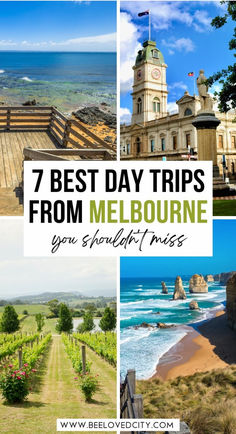 the best day trips from melbourne you shouldn't miss, including wineries and winerys