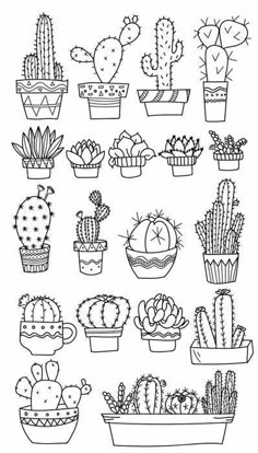 cactuses and cacti are drawn in black ink on white paper