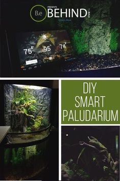 an aquarium with plants in it and the words diy smart paldarum below