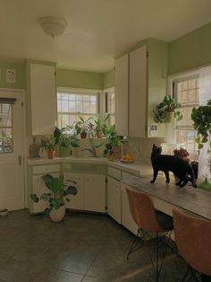 a black cat standing on top of a counter in a kitchen next to two chairs