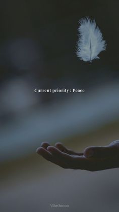 a person's hand holding a white feather with the words current priority peace above it