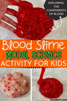 the blood slime model science activity for kids is fun and easy to do with