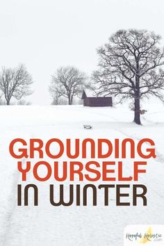 What is grounding? There are lots of benefits to grounding including stress relief, better sleep, and more. Learn about grounding benefits here! Grounding Benefits, Itchy Skin Remedy, Health Herbs, Seasonal Affective, Honey Water, Grounding Techniques, Health Remedies, Herbal Remedies, The Thing