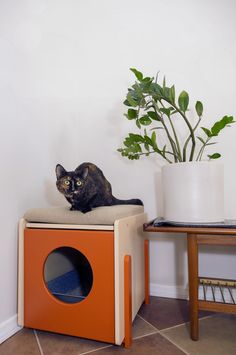 a black cat sitting on top of an orange and white box next to a potted plant