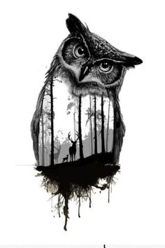 an owl sitting in the middle of a forest with trees on it's back