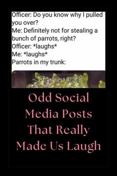 an old social media post with the caption that reads,'od social media posts that really made us laugh