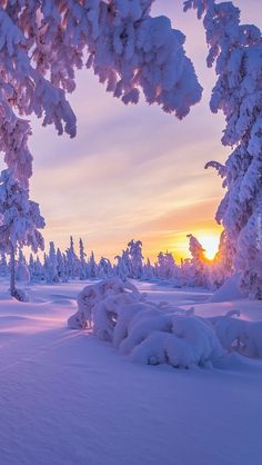 the sun is setting behind some snow covered trees