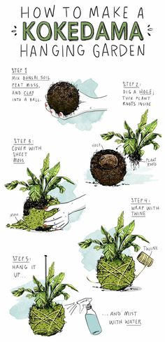 how to make a kokedama hanging garden with instructions on the top and bottom