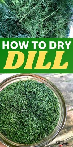 how to dry dill in a jar with text overlay that says how to dry dill