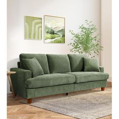 a living room scene with focus on the green couch and rug, there is a potted plant in the corner