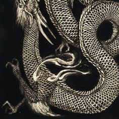 a black and white drawing of a dragon with its eyes closed, on a dark background