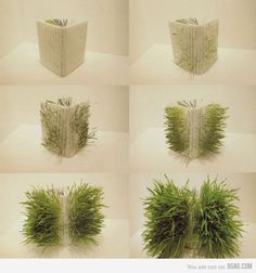 four different views of the same planter made out of book pages, each with grass growing in it