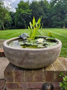 a planter filled with water sitting on top of a brick wall next to a lush green field