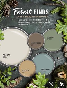 the forest finds paint palette is shown in various shades