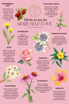 Self Love Herbs Witchcraft, Natural Apothecary, Herb Magic, Love Herbs, Emotional Clutter, Feminine Embodiment, Basil Leaf