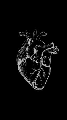 a black and white drawing of a human heart