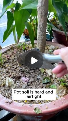 someone is digging in the dirt with a garden tool to plant a potted tree